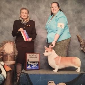 Meet your Posher, Jen